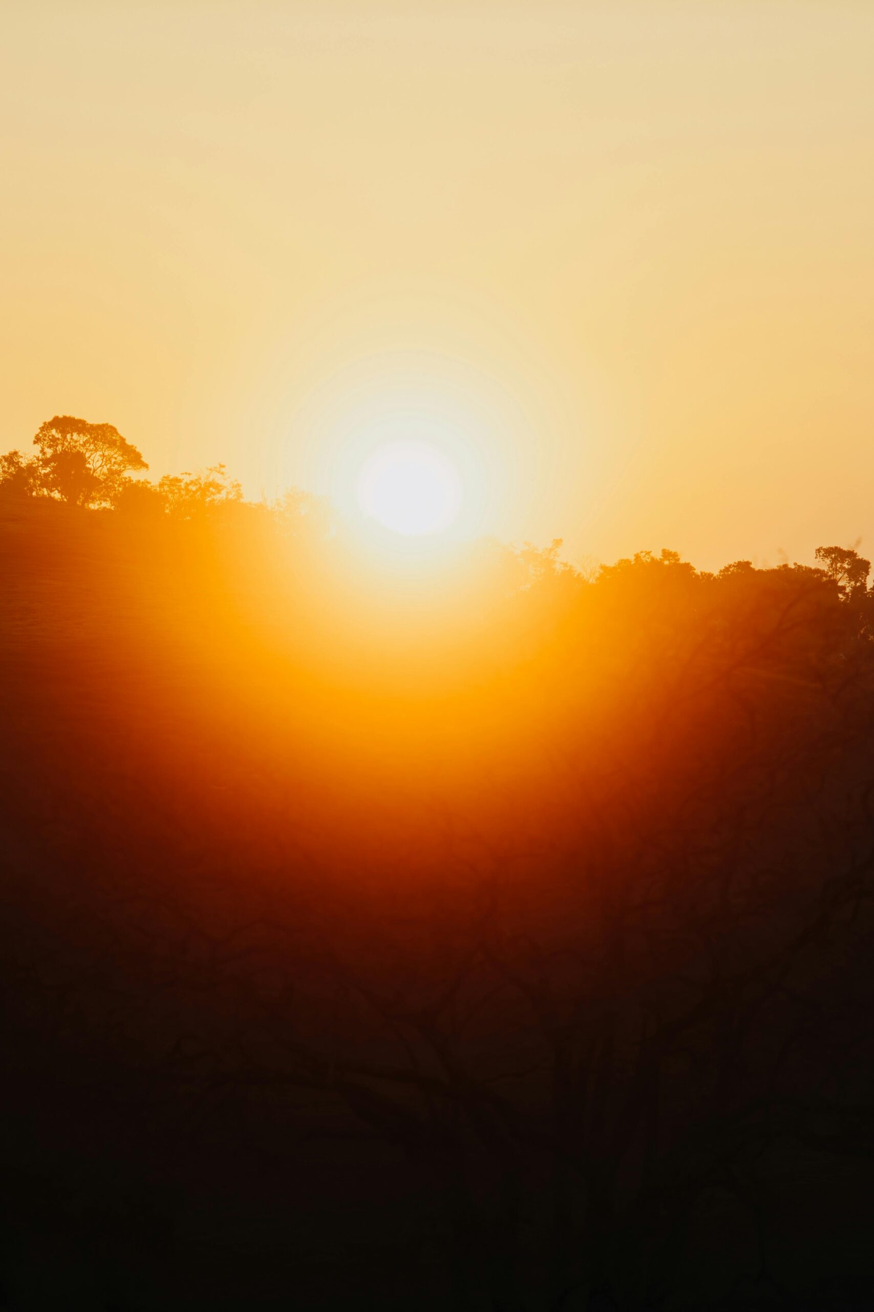 Geräuchertes Rinderfilet-Tatar mit Senfkaviar
